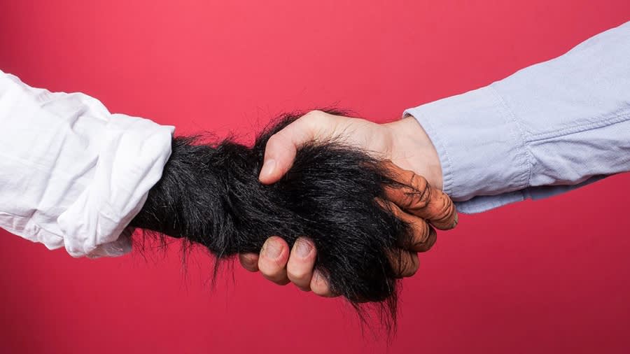 Thumbnail for Deliverability for Your Clients