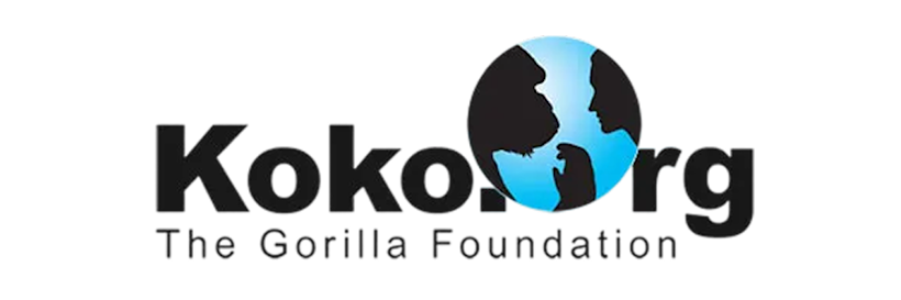 Gorilla foundation logo