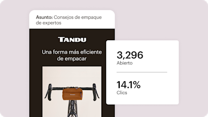 Un ejemplo abstracto de un correo electrónico de Mailchimp, junto con estadísticas fáciles de comprender que desglosan el número total de veces que se abrió y el porcentaje de clics.