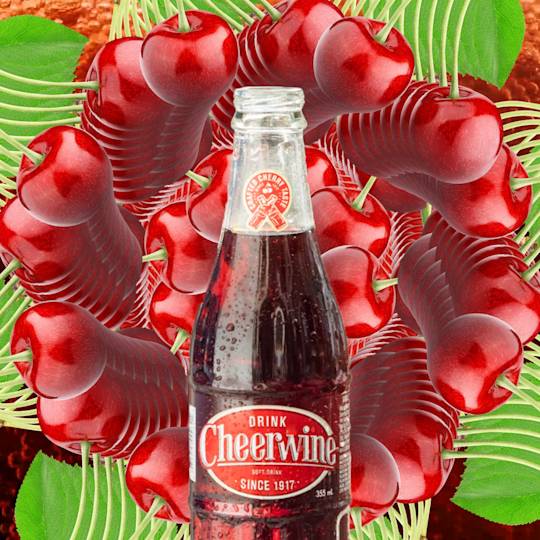 Glass bottle of Cheerwine soda surrounded by fresh red cherries and green palm leaves in a vibrant promotional composition