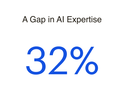 A gap in AI expertise
32%