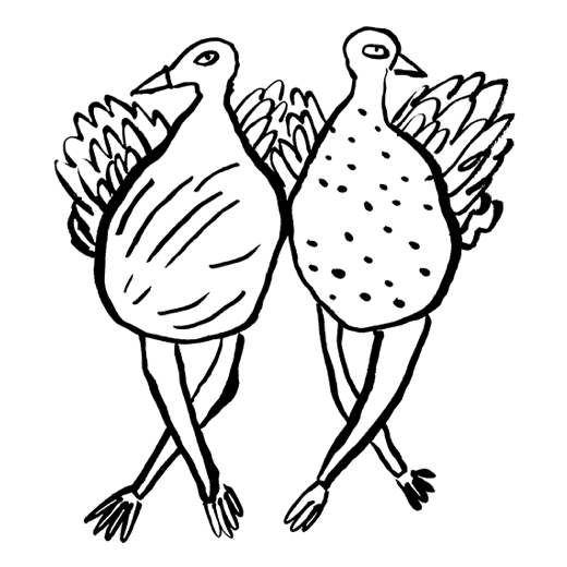 Doodle of two birds dancing.