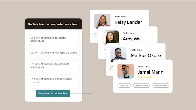 Tableau de bord affichant les profils des clients et les outils de segmentation d’audience de Mailchimp pour les campagnes publicitaires de génération de leads.
