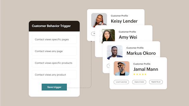 Dashboard displaying customer profiles and Mailchimp’s audience segmentation tools for lead ad campaigns.

