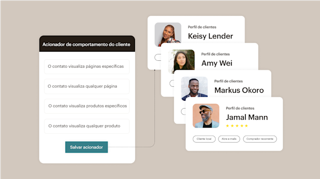 Painel de controle exibindo perfis de clientes e ferramentas de segmentação de público do Mailchimp para campanhas publicitárias de leads.
