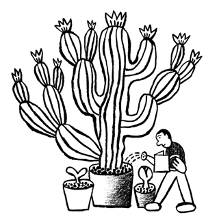 Person watering cactus.