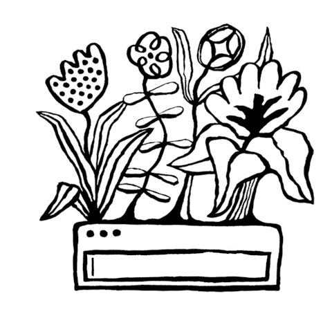 Illustration of a search bar with flowers growing out of it