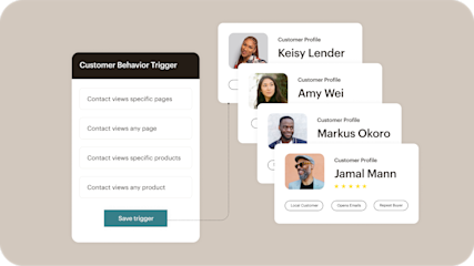 Dashboard displaying customer profiles and Mailchimp’s audience segmentation tools for marketing campaigns.