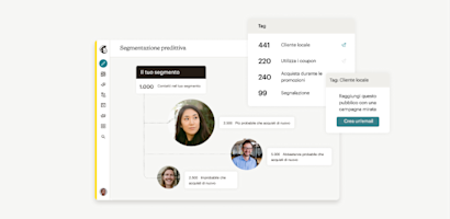Esempio di segmentazione predittiva di Mailchimp che evidenzia i tag