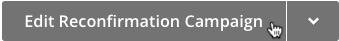 Cursor clicks edit reconfirmation campaign button.