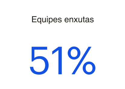 Equipes enxutas
51%
